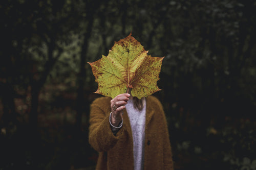 THE GOLDEN LEAF